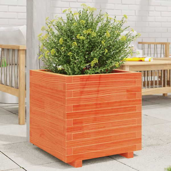 vidaXL Fioriera Giardino Marrone Cera 50x50x49,5cm Legno Massello Pino