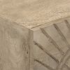 vidaXL Cassettiera 55x30x76 cm in Legno Massello di Mango e Ferro