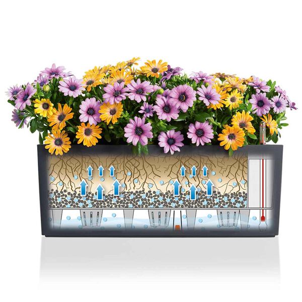 Visualizzazione immagine prodotto 4 di 13