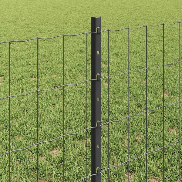 Visualizzazione immagine prodotto 4 di 13