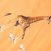 Immagine miniatura del prodotto 4 di 7