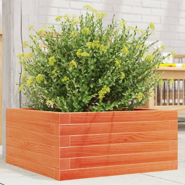 vidaXL Fioriera Giardino Marrone Cera 50x50x23 cm Legno Massello Pino