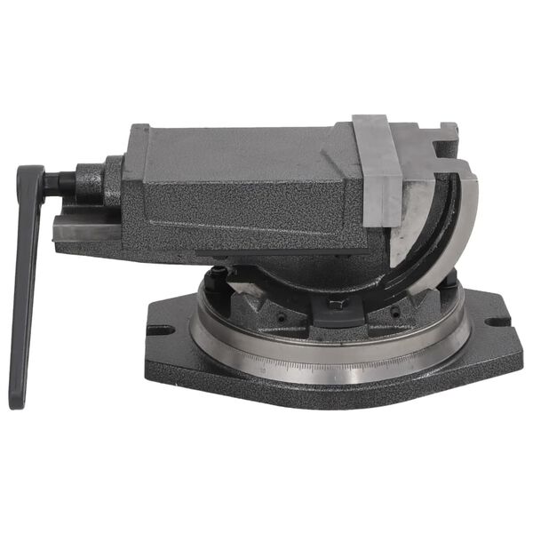 vidaXL Morsa Inclinabile a 2 Assi 160 mm