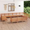 vidaXL Set Salotto da Giardino 13 pz in Legno Massello di Pino Ambra