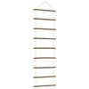 vidaXL Decorazione da Parete a Forma di Scala 50x150 cm Ramo Naturale