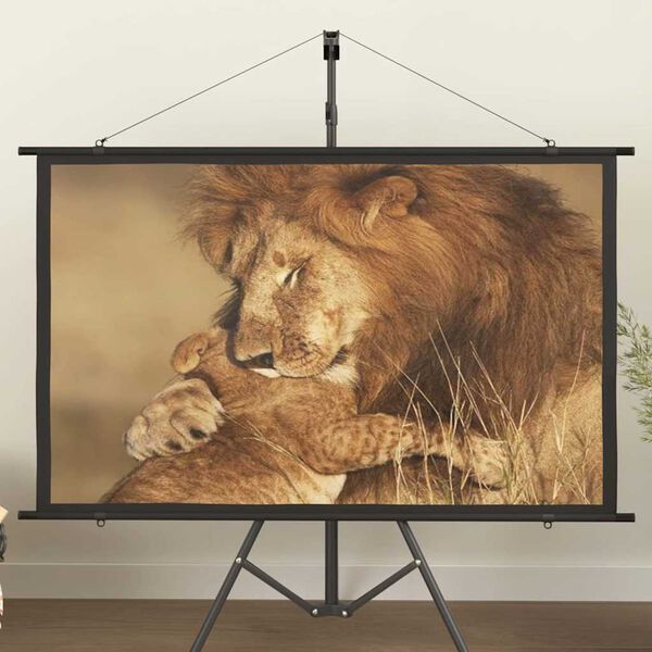 Visualizzazione immagine prodotto 2 di 7