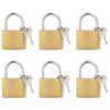 vidaXL U Lock con Chiavi 6 pcs Ottone Ferro