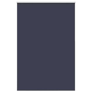 vidaXL Tenda a Rullo Oscurante 160x210 cm Larghezza Tessuto 156,6 cm
