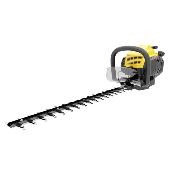 Stanley Tagliasiepi a Benzina 750 W