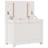 vidaXL Contenitore Portaoggetti Bianco 60x32x45,5cm Massello di Pino