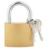 vidaXL U Lock con Chiavi Ottone 7,4 x 2,1 x 10,6 cm Ferro