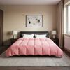 vidaXL Duvet Estivo Trapuntato Rosa 200 x 220 cm Microfibra