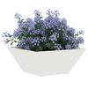 vidaXL Vaso da giardino 5 pcs Bianco 35 x 35 x 15 cm