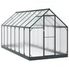 vidaXL Serra da Giardino con porta Antracite 183,5 x 423,5 x 207 cm