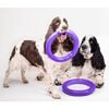 Ferplast Anelli per Cani Puller Standard Viola 2 pz