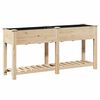 vidaXL Vaso da giardino con lo scaffale Beige 161 x 43 x 76,5 cm