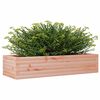 vidaXL Fioriera da Giardino 110x40x23 cm in Legno Massello di Douglas