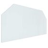 vidaXL Piastra in vetro per camino Trasparente 120 x 60 cm Vetro
