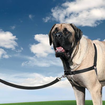 PetSafe Pettorina per Cani Easy Walk Misura XL Nera