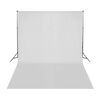 vidaXL Kit per Studio Fotografico con Set di Luci e Fondale