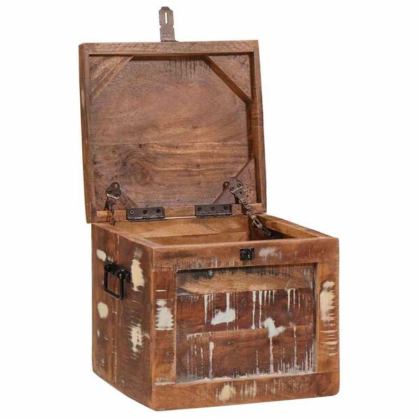 vidaXL Scatola di Stoccaggio con porta Marrone Legno di mango massello