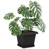 Immagine miniatura del prodotto 3 di 10