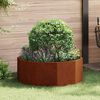 Immagine miniatura del prodotto 2 di 12