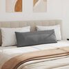 vidaXL Cuscini da Divano 2 pcs Grigio scuro 120 x 40 cm Tessuto