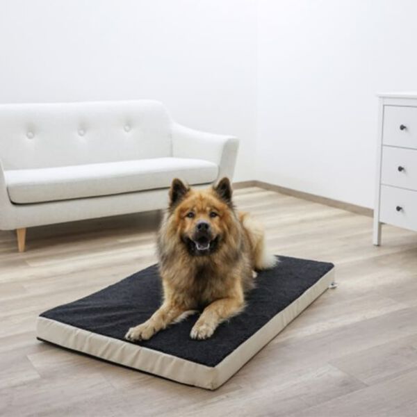Kerbl Materasso Cani in Schiuma con Memoria 100x60 cm Beige e Grigio 80327