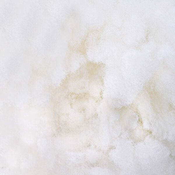 vidaXL Imbottitura in Fibra Bianco 5 kg Poliestere