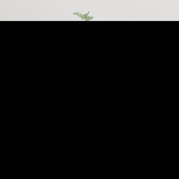 Visualizzazione immagine prodotto 2 di 11