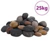 vidaXL Ciottoli Levigati 25 kg Colore Misto 5-8 cm
