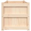 vidaXL Fioriere da Giardino 2 pz in Legno Massello di Pino