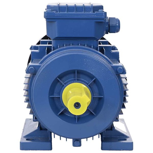 vidaXL Motore Elettrico Trifase in Alluminio 2,2kW/3HP 2 Poli 2840 RPM