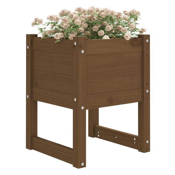 vidaXL Fioriere 2 pz Ambra 40x40x52,5 cm in Legno Massello di Pino
