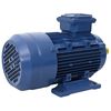 vidaXL Motore Elettrico Trifase in Alluminio 2,2kW/3HP 2 Poli 2840 RPM