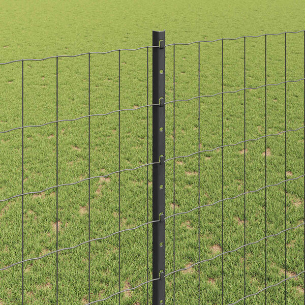Visualizzazione immagine prodotto 4 di 14
