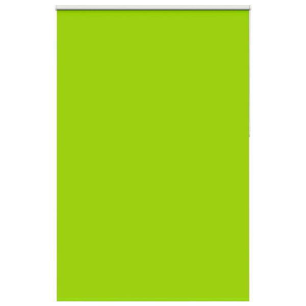 vidaXL Tenda a Rullo Oscurante 155x210 cm Larghezza Tessuto 151,6 cm