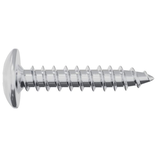 vidaXL Chiodo autofilettante 2 pcs Zincato 4 x 20 mm Acciaio