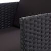 vidaXL Set da Pranzo da Giardino 17 pz con Cuscini in Polyrattan Nero