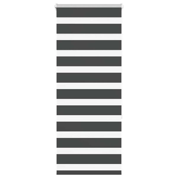 Visualizzazione immagine prodotto 1 di 16
