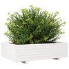 vidaXL Fioriera da Giardino Bianca 90x60x26,5cm Legno Massello di Pino