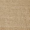 vidaXL Tappeto in Sisal per Tiragraffi 66x150 cm