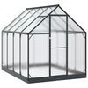 vidaXL Serra da Giardino con porta Antracite 183,5 x 243,5 x 207 cm