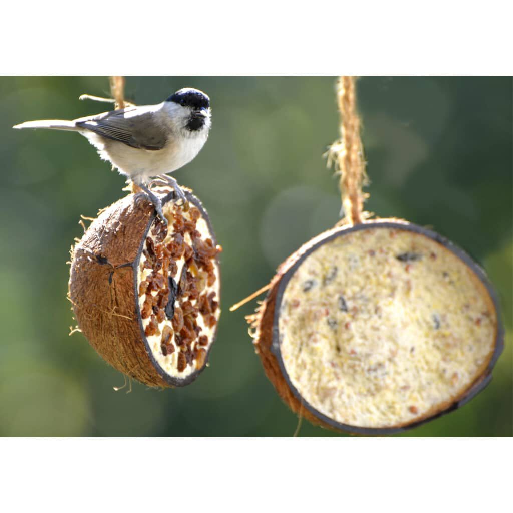 10 Noci Di Cocco Riempite Per Uccelli Selvatici - 5 Varietà Di Mangime, 2 Kg, Con Corde Di Iuta - Foto 3
