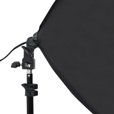 vidaXL Kit per Studio Fotografico con Luci Softbox e Fondale