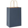 vidaXL Sacchetti di Carta 250 pz con Manici Blu 15x8x21 cm