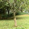 Immagine miniatura del prodotto 2 di 7