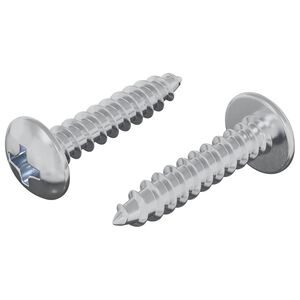 vidaXL Viti in Legno 2 pz Argento M4 x 20 mm Acciaio