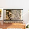 vidaXL Terrario con archiviazione Trasparente 40 x 30 x 30 cm Vetro